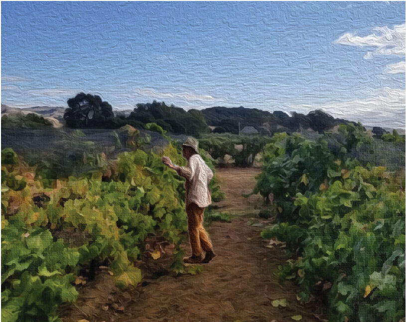 A painting of an old man tending his vineyard