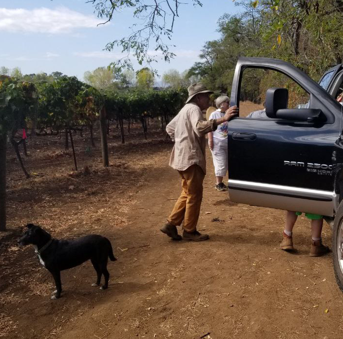 A grower in his vineyard